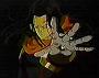 Dragonball GT (37)